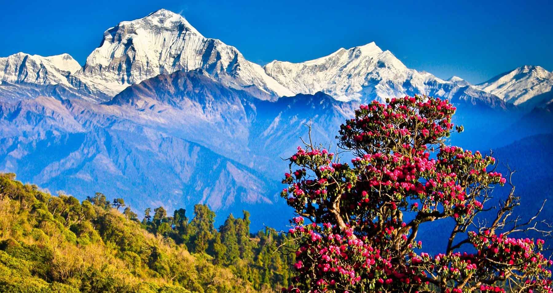 View from Nagarkot