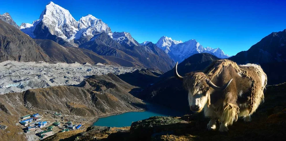 Sikkim Tour Packages